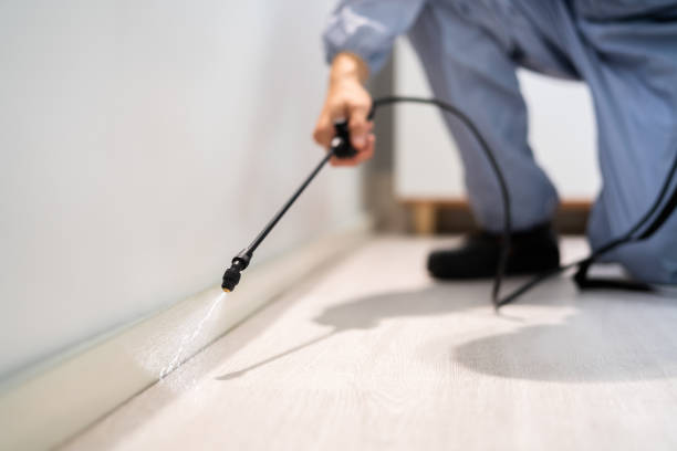 Licensed Cockroach Control service in Villa Grove, IL - Nex Pest Control