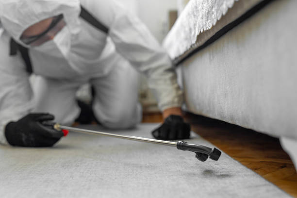 Professional Cockroach Control technician working in Villa Grove, IL