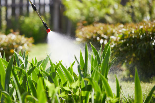 24/7 Emergency Cockroach Control experts in Villa Grove, IL