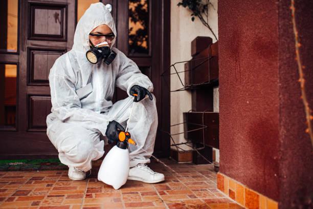 Reliable Cockroach Control contractor in Villa Grove, IL by Nex Pest Control