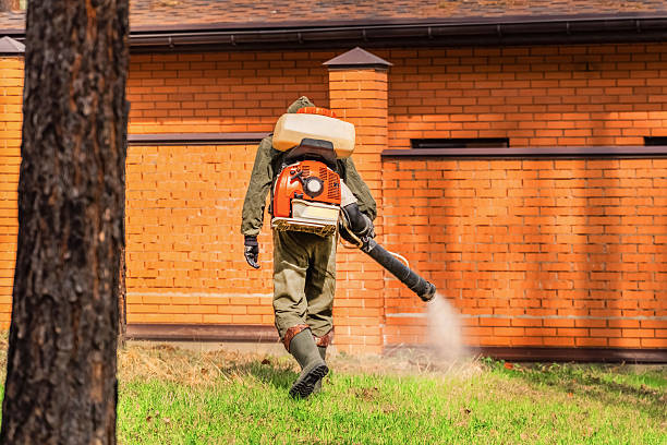 Trusted Ant Control service in Villa Grove, IL - Nex Pest Control